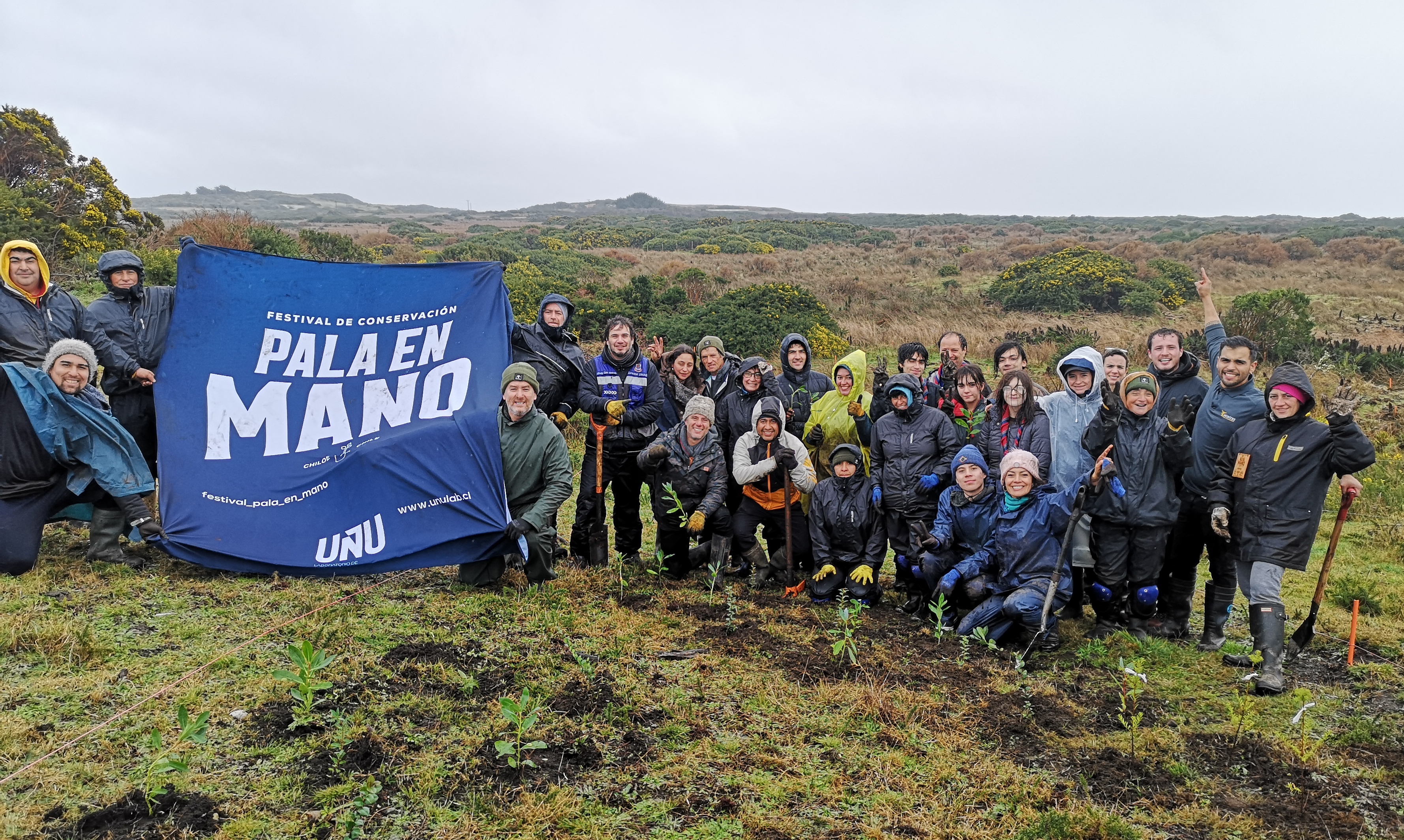 Festival Pala en Mano plantará 10 mil árboles en Ancud para combatir la deforestación insular