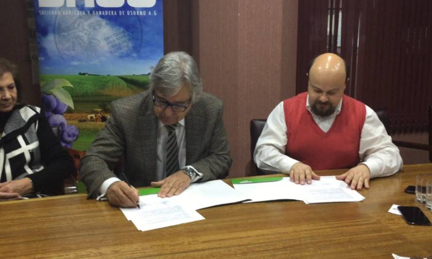 Un convenio de registro de raza firman Asociación de Criadores de Ganado Holstein de Chile y SAGO