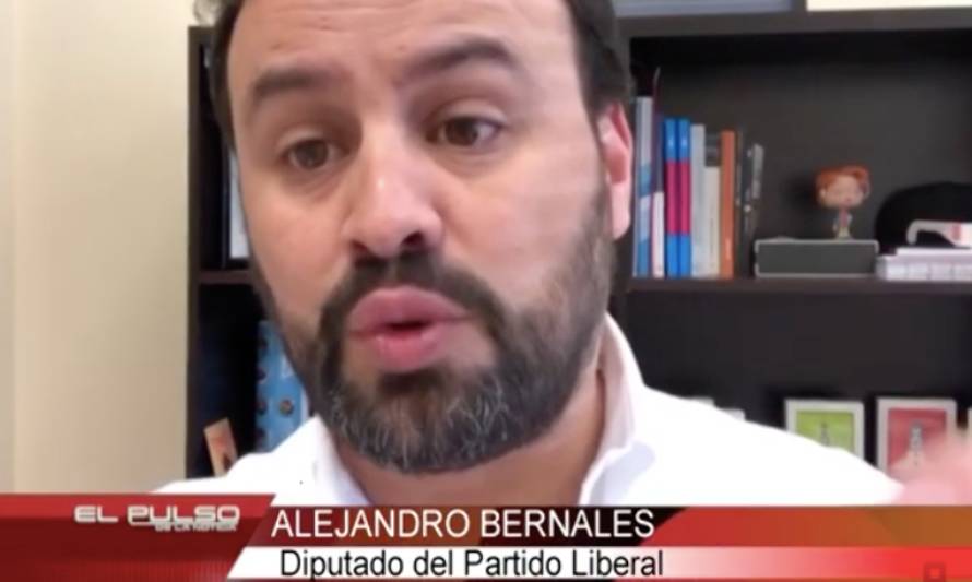 Diputado Bernales criticó a Directora de Sernatur de Los Lagos