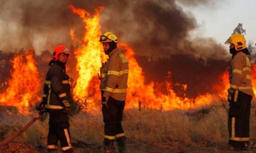 Presentaron querella por incendios forestales