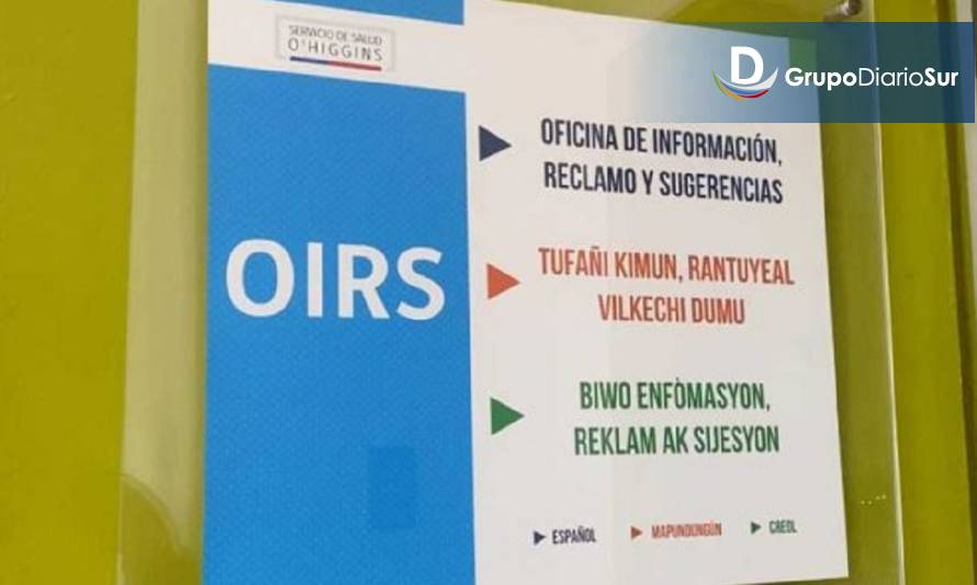 OIRS de la provincia de Chiloé se reúnen y evalúan el trabajo realizado en pandemia