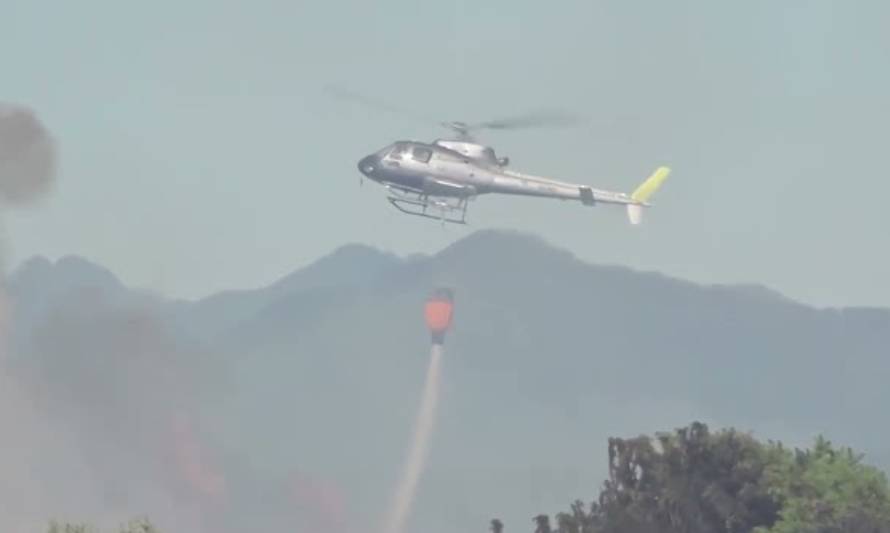 Pese a últimas lluvias CONAF llama a no bajar la guardia ante incendios forestales