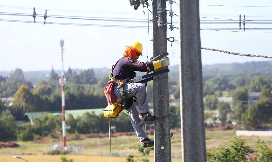 Presencia de elementos en las redes de distribución es principal causa de cortes de suministro eléctrico en la zona tras paso de sistema frontal