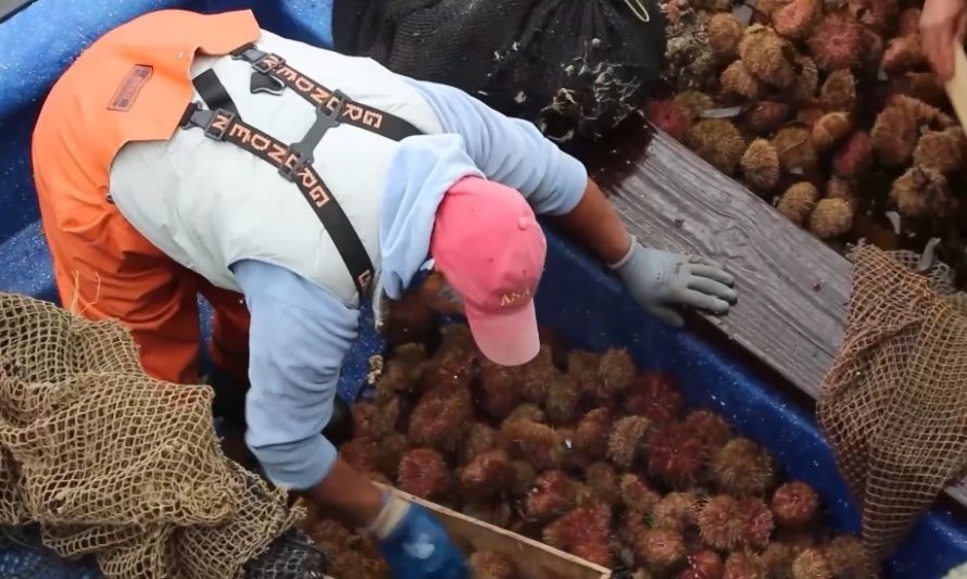 Corte de Apelaciones de Aysén deja sin efecto orden que bloqueaba acuerdo de zonas contiguas