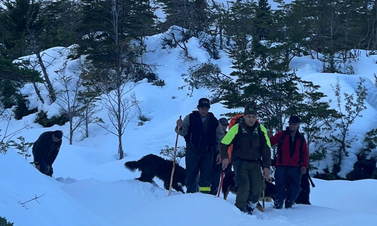 Toman contacto con trabajadores forestales atrapados por la nieve en el volcán Apagado