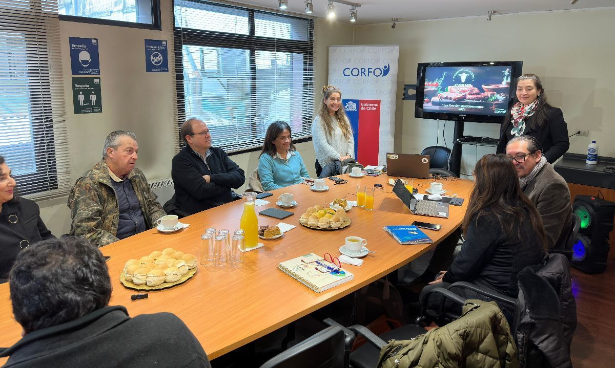 Programa Territorial Integrado de la Carne Bovina en Los Lagos impulsa al sector mediante alianza interdisciplinaria