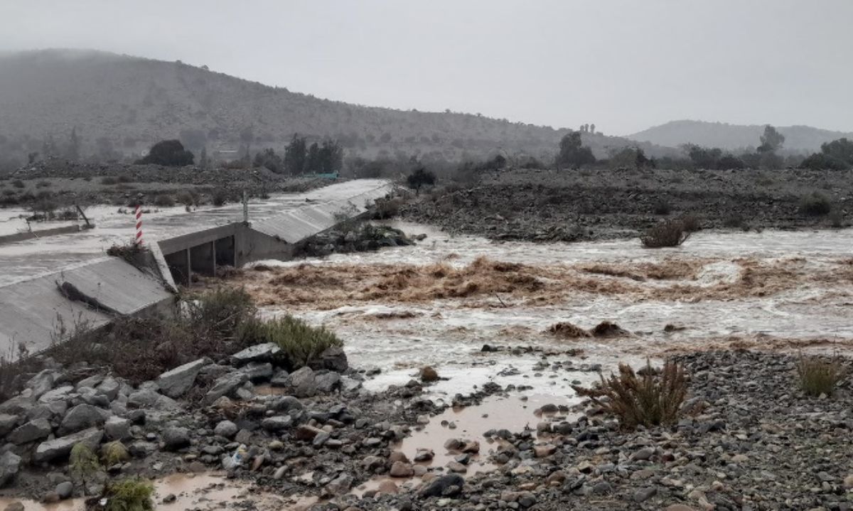 Cerezas: Cómo están los cultivos del Norte Chico luego de las precipitaciones