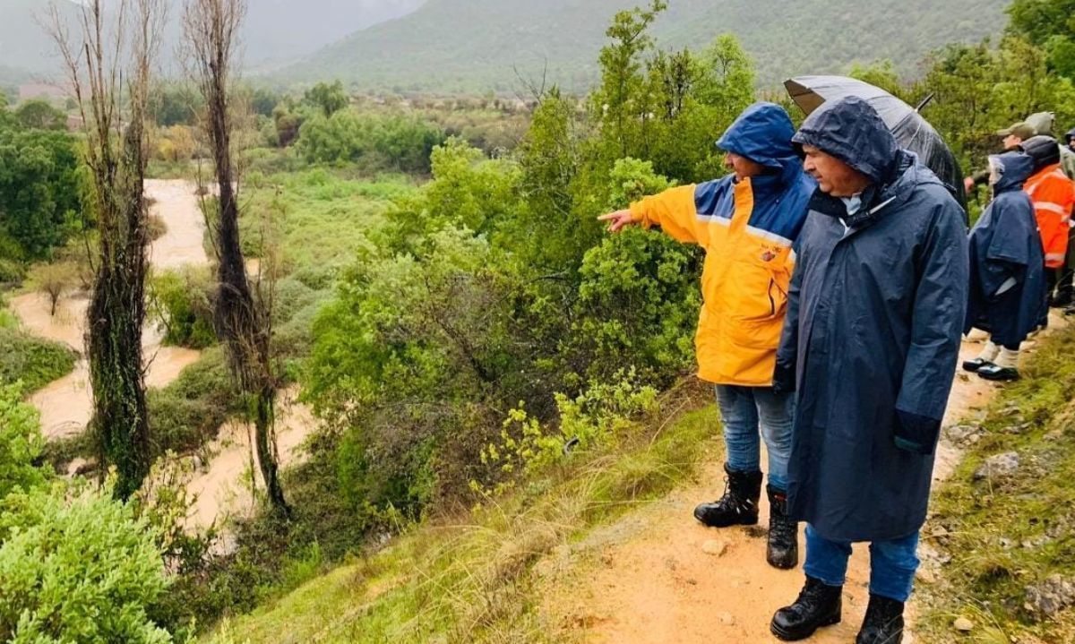 A la fecha son 4 mil los agricultores afectados entre Ñuble y La Araucanía