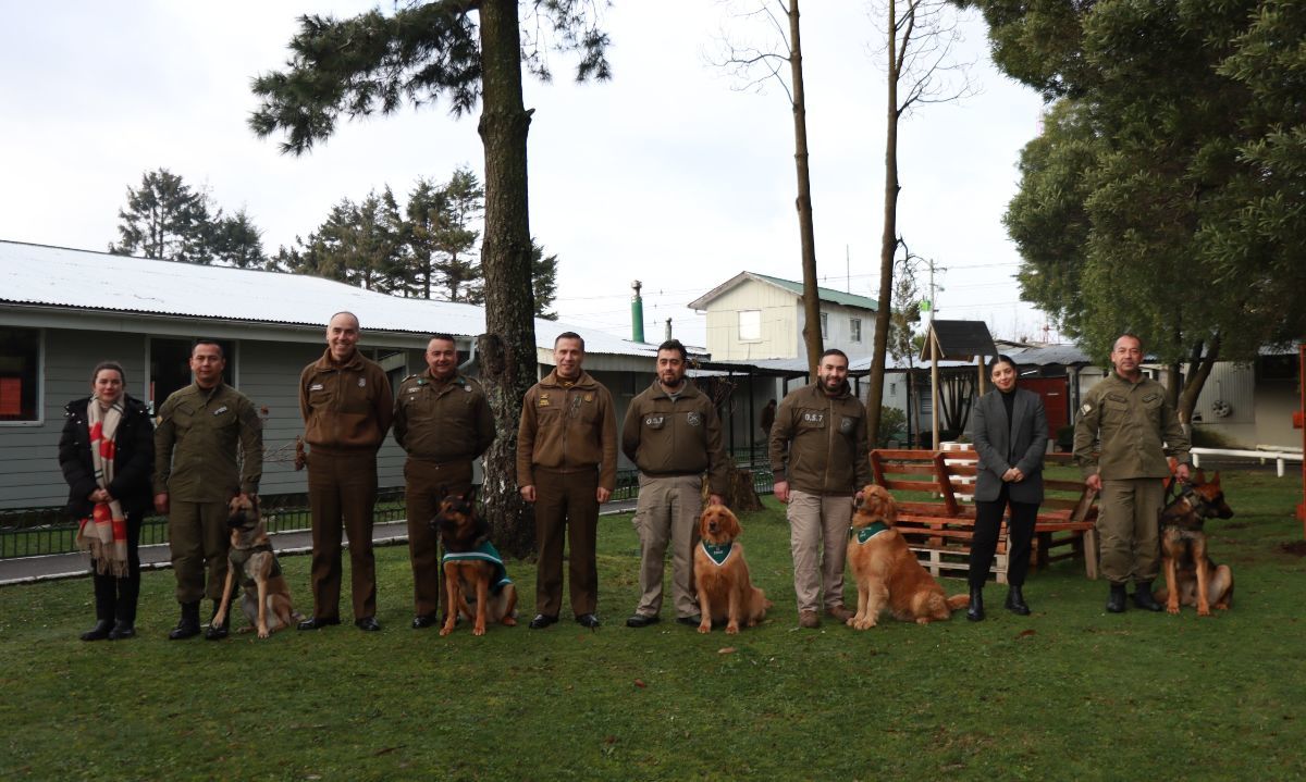 Reconocen aporte a la seguridad de binomios caninos de Carabineros de Chile en la región de Los Lagos