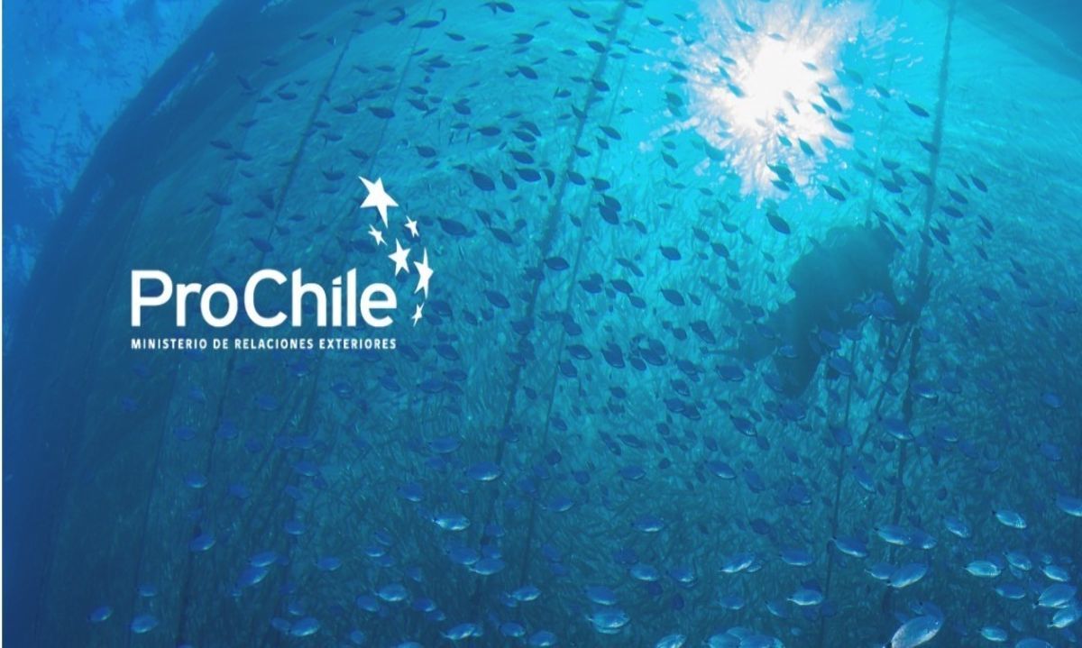 ProChile Los Lagos refuerza invitación a empresas a convocatorias de eventos internacionales