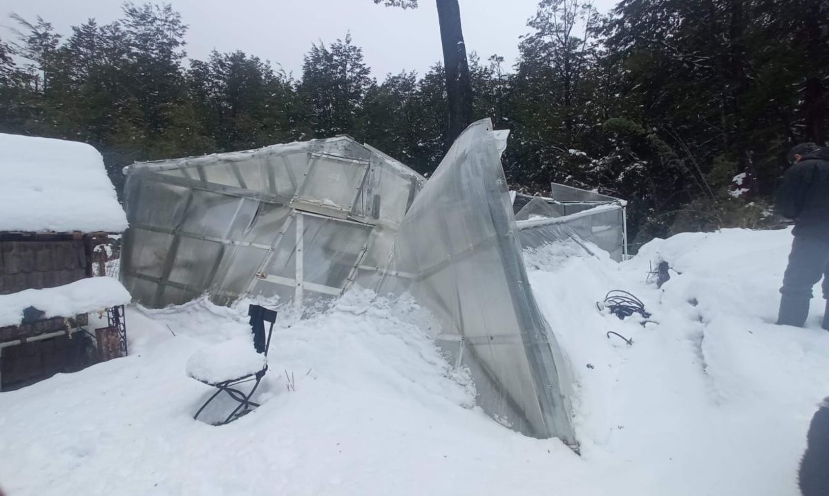 Hasta 1.20 metros de nieve han caído en algunos sectores de la comuna de Futaleufú