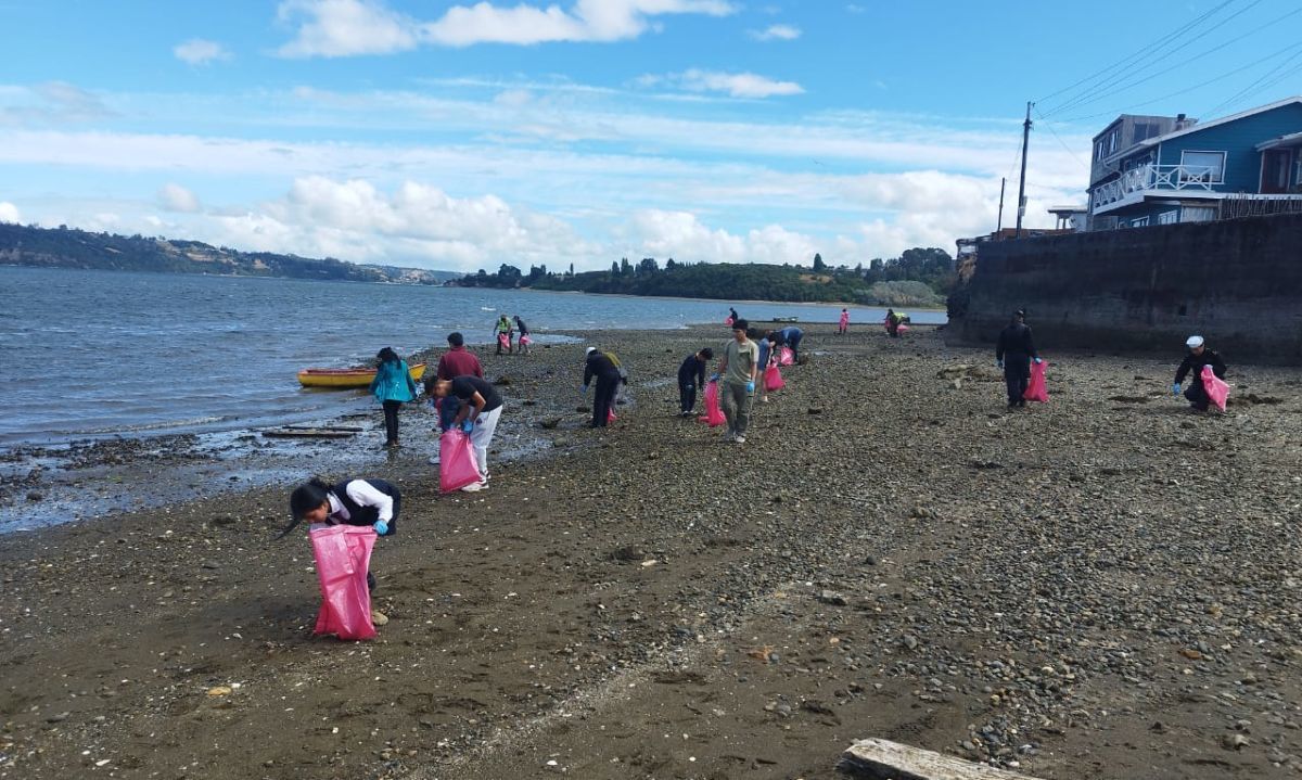 Chiloé se une en una gran jornada de limpieza de playas por el Día Nacional del Medio Ambiente