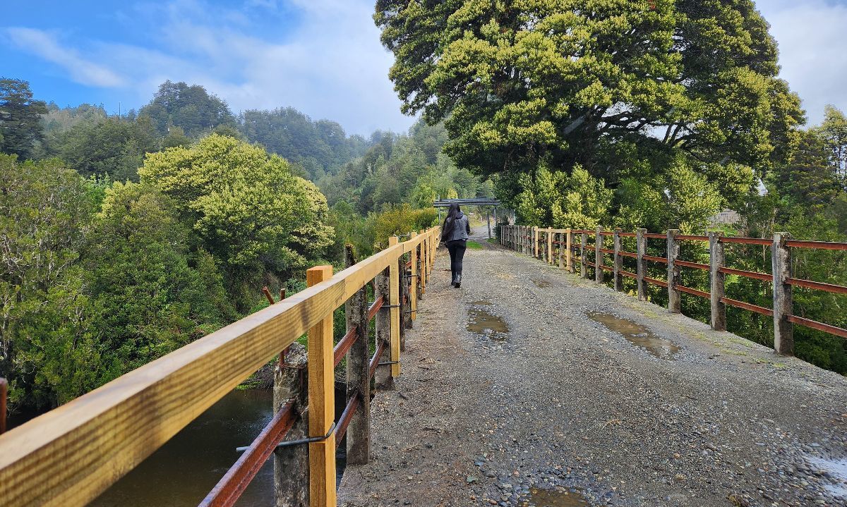 Ejecutan obras de emergencia en Puente ferroviario sobre el río Butalcura, Monumento Histórico de la región