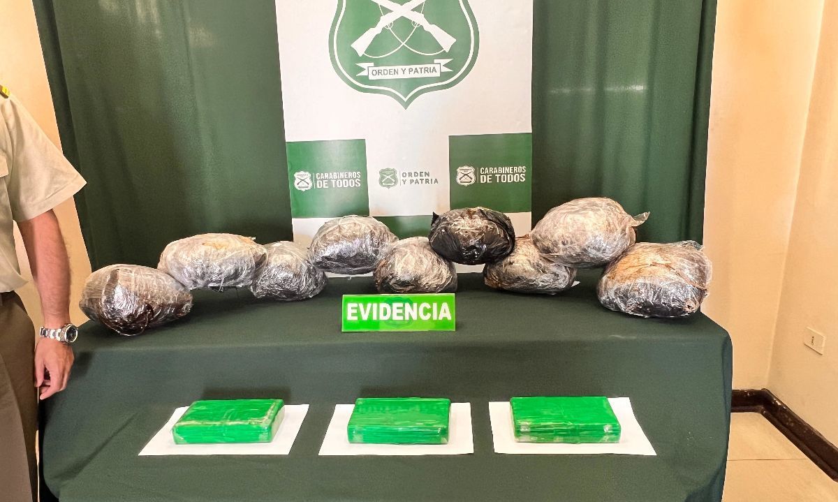 Operativo de Carabineros frustra traslado de drogas hacia Puerto Montt en bus interurbano