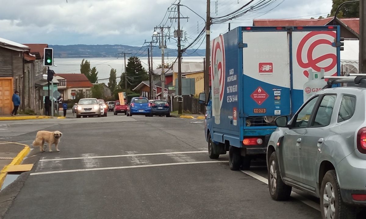 Chonchi mejora seguridad vial con nuevos semáforos