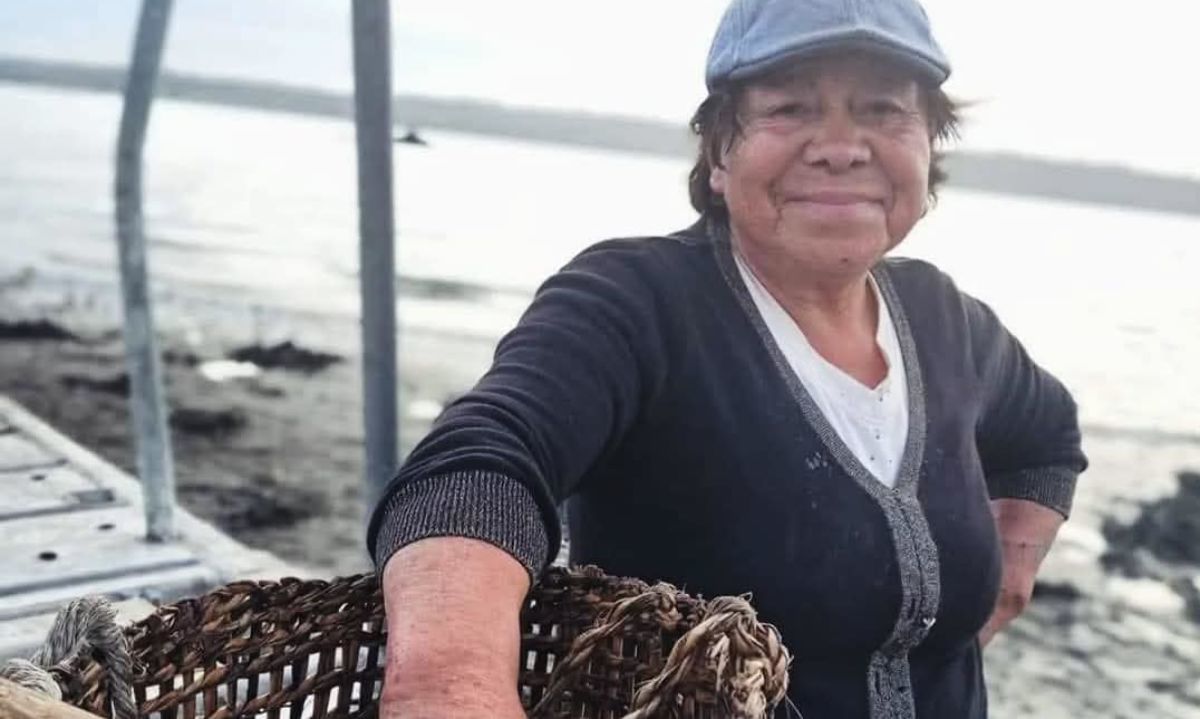 Festival Williche de las Algas promueve gastronomía ancestral en Chiloé